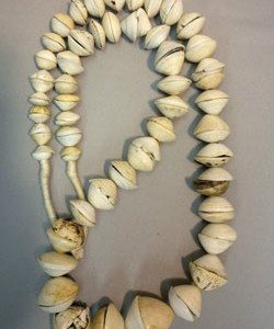 Beadology-Iowa-Graduated-Muritanian-Shell-Strand Beadology Iowa Graduated Muritanian Shell Strand